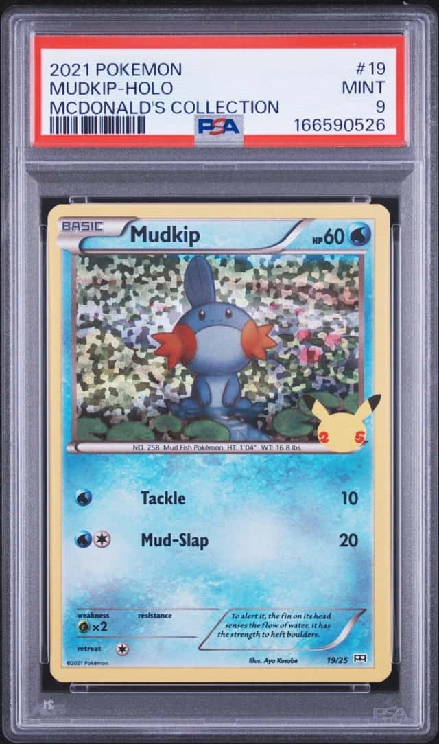 Mudkip