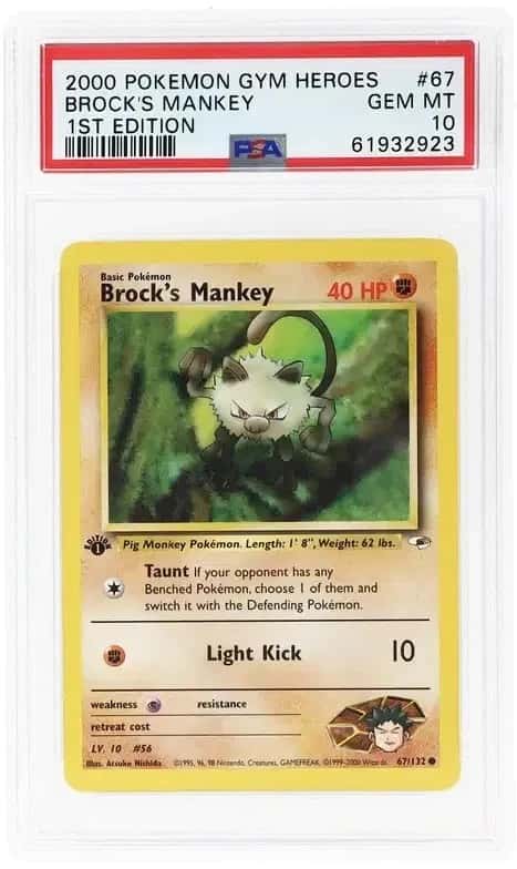 Brock's Mankey