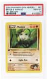 Brock'S Mankey