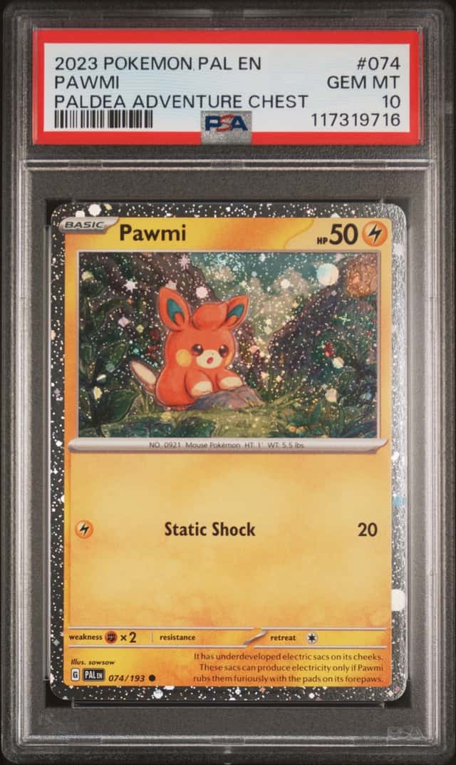 Pawmi