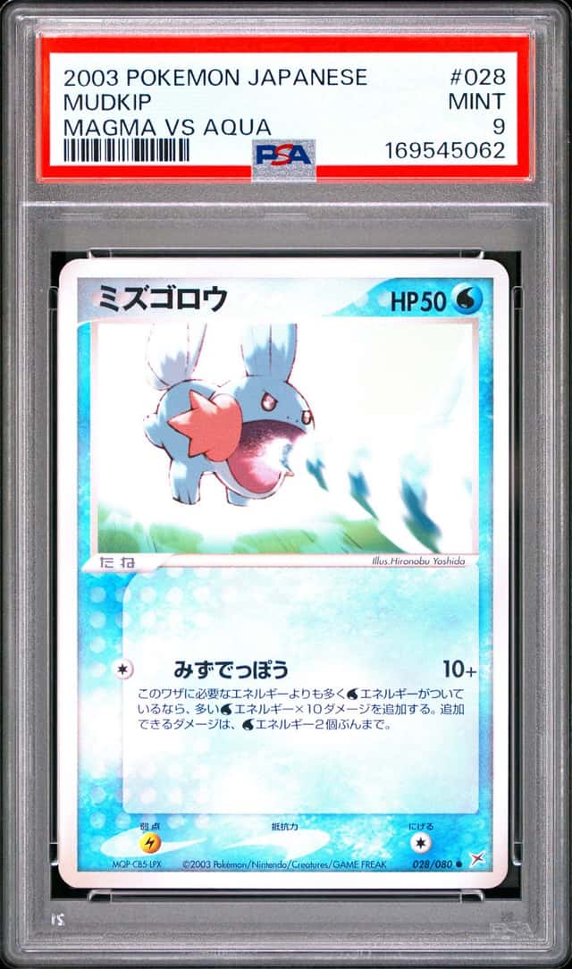 Mudkip