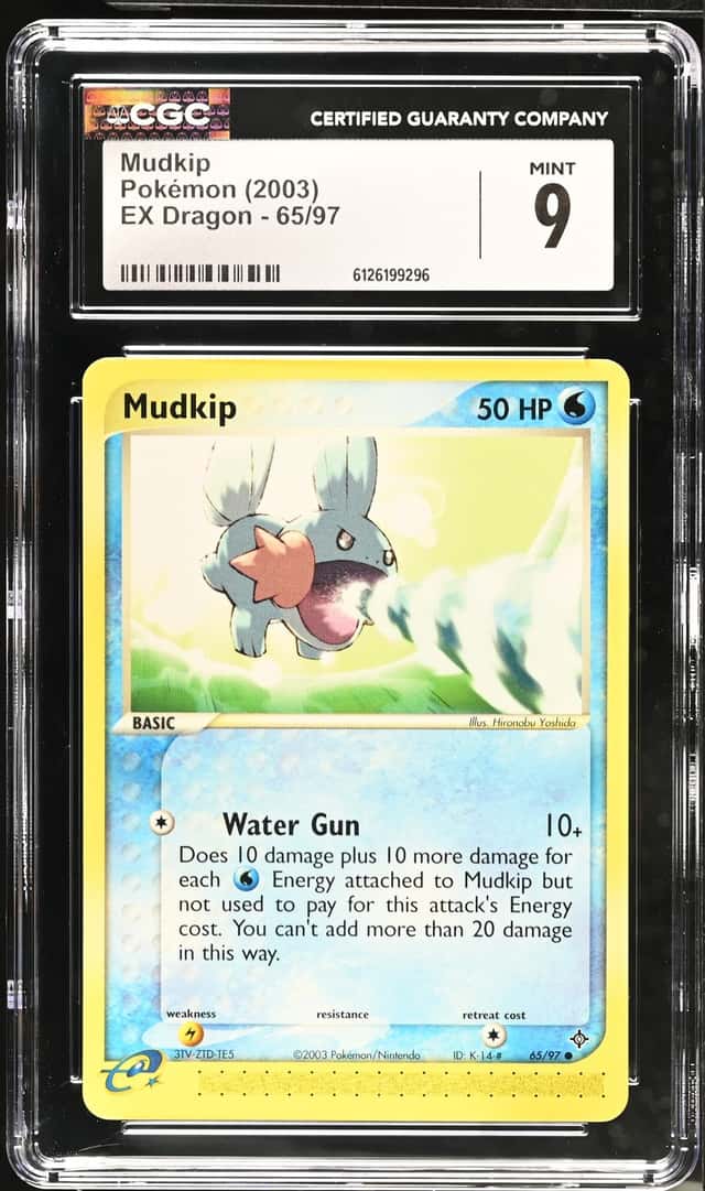 Mudkip