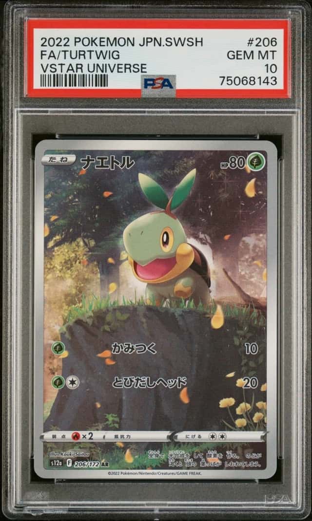 Turtwig