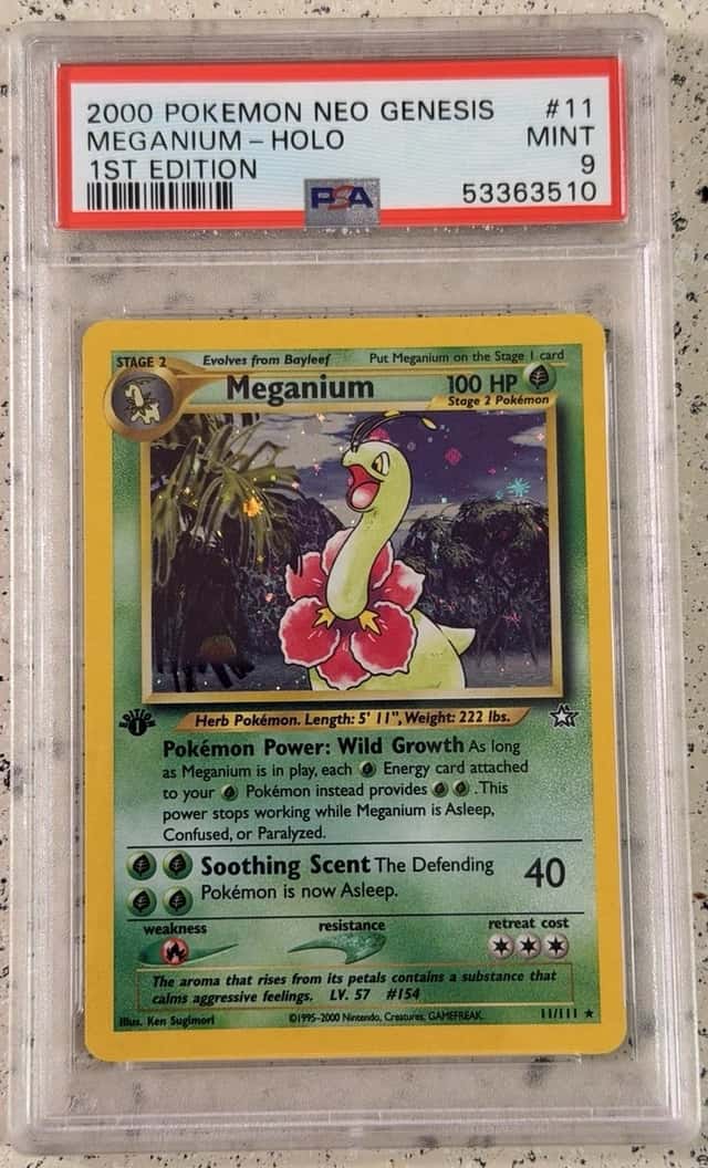 Meganium