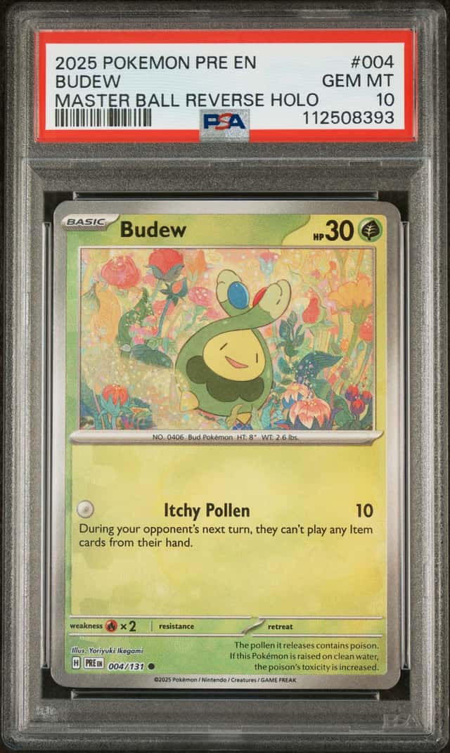 Budew
