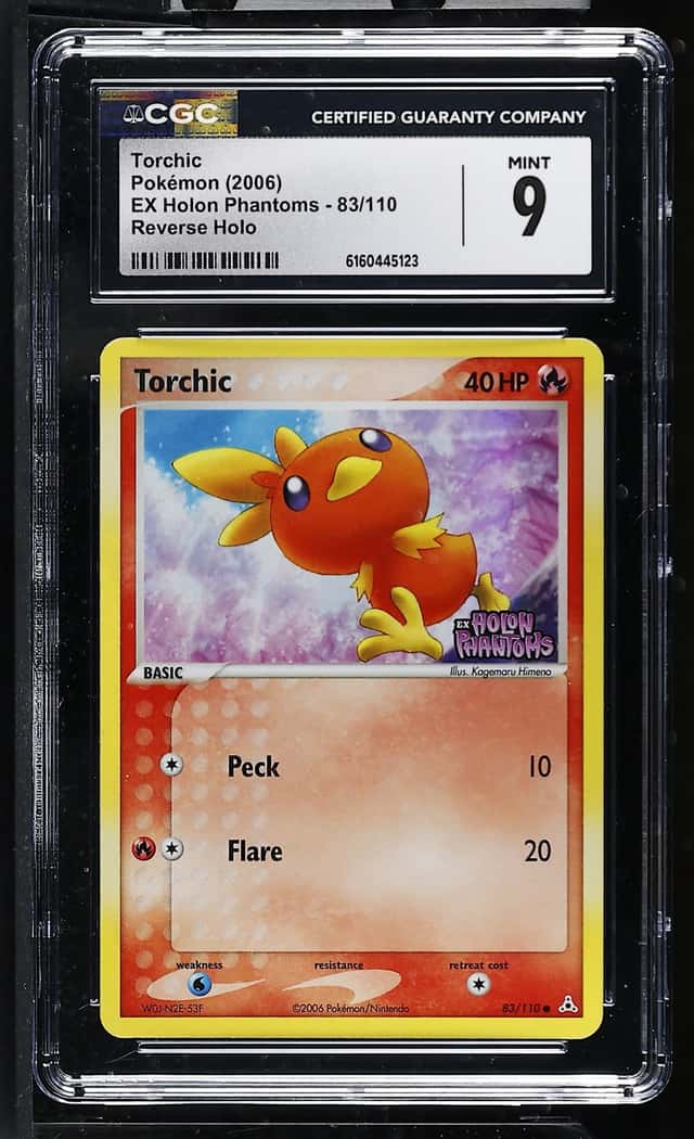 Torchic