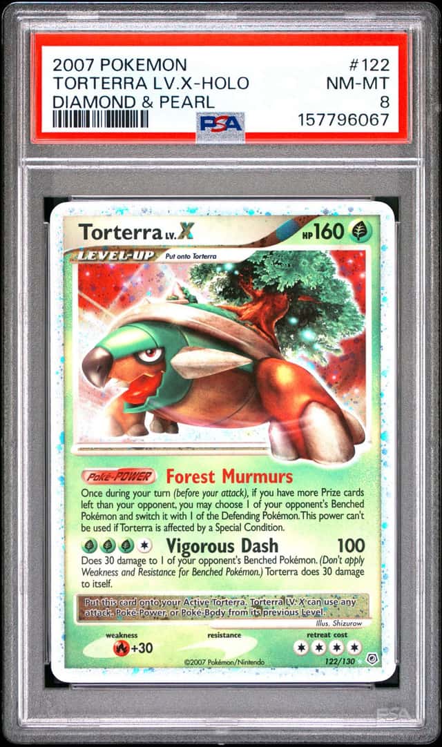 TORTERRA LV.X
