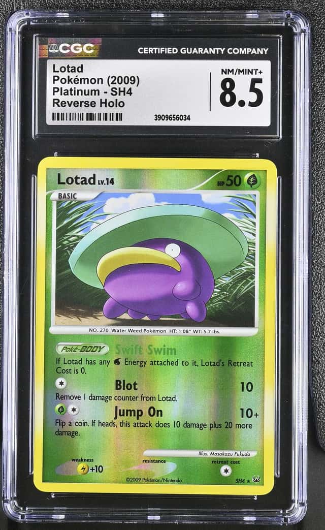 Lotad