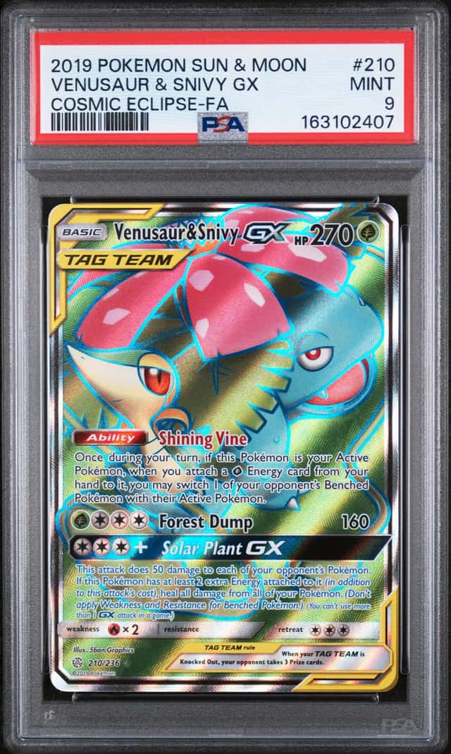 Venusaur & Snivy GX