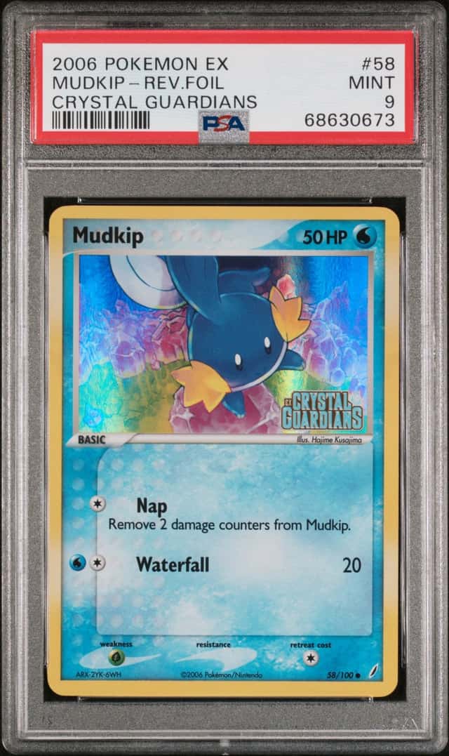 Mudkip