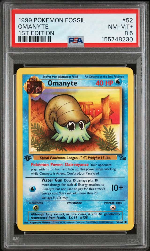 Omanyte