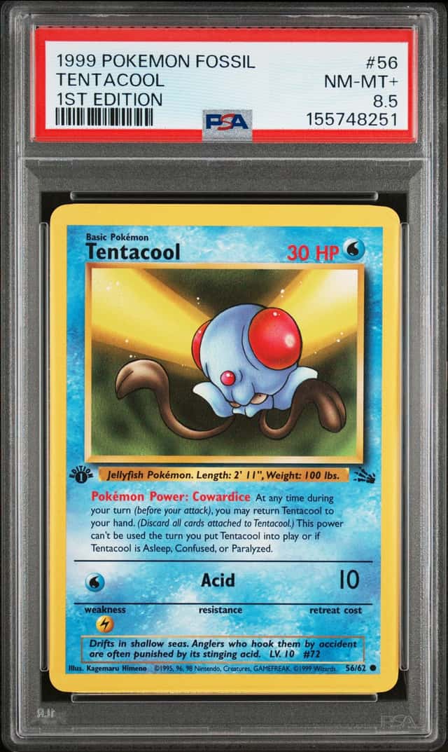 Tentacool