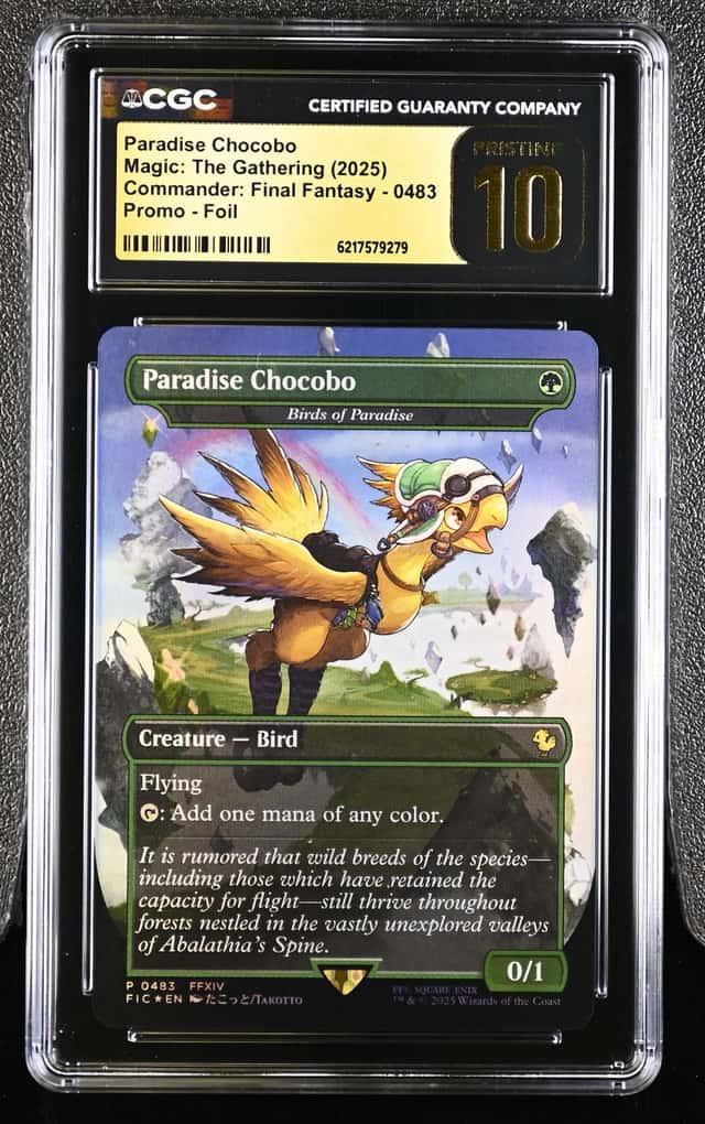 Paradise Chocobo