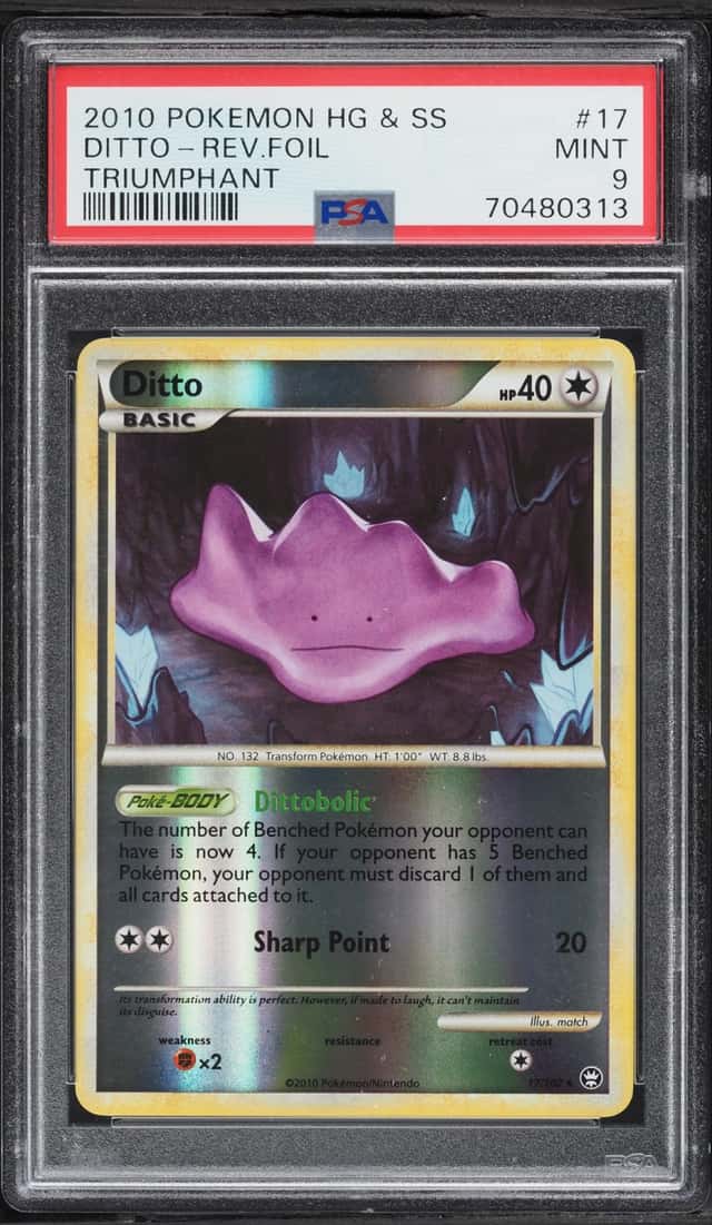 Ditto