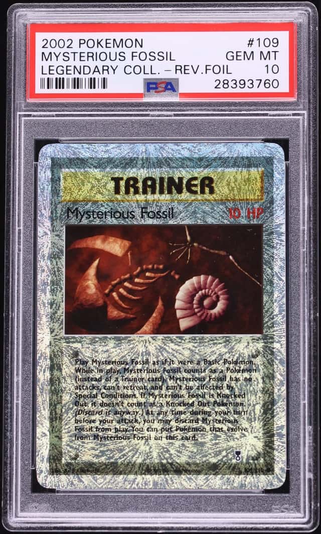Mysterious Fossil