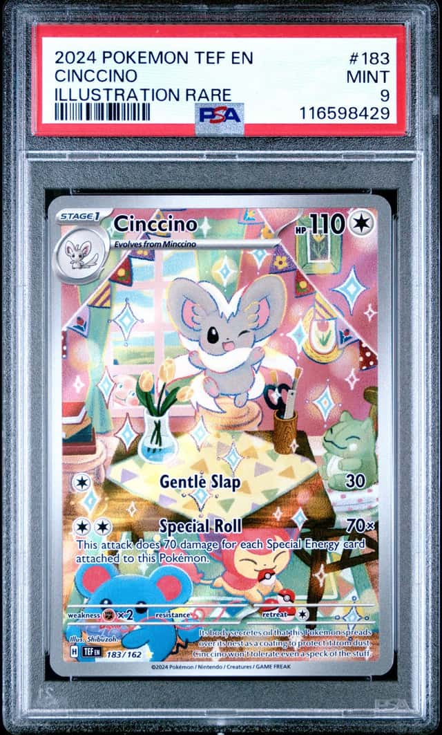 Cinccino