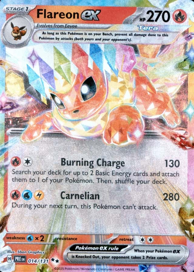 Holo