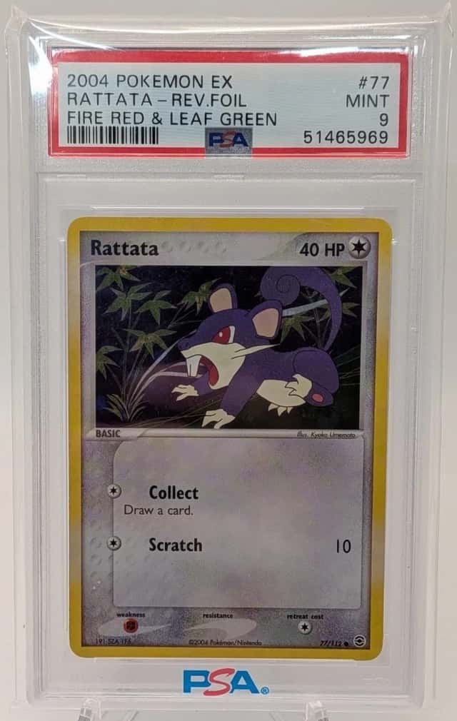 Rattata