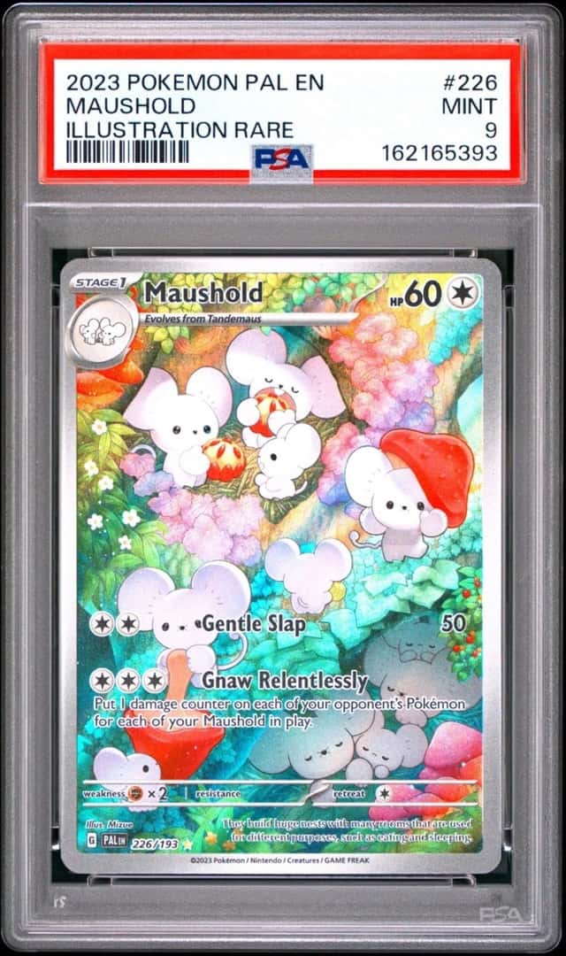 Maushold