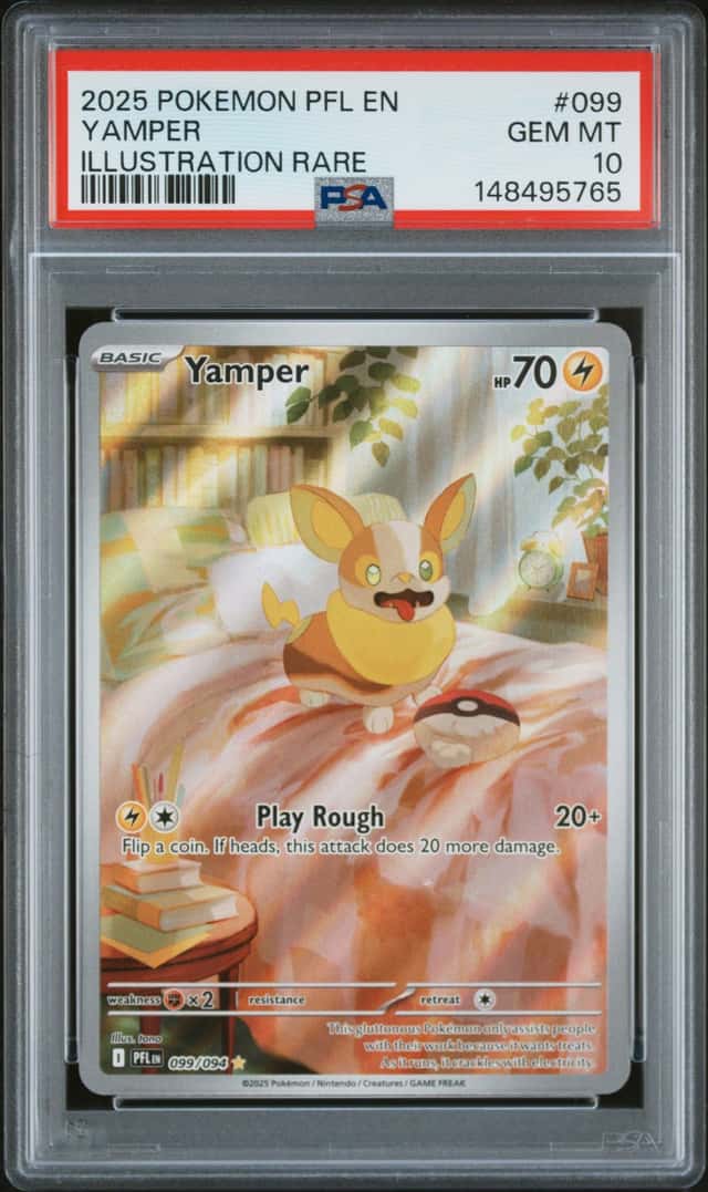 Yamper