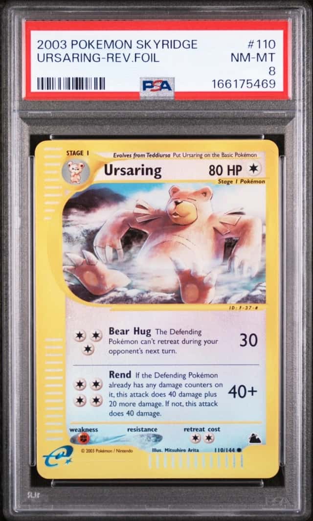 Ursaring