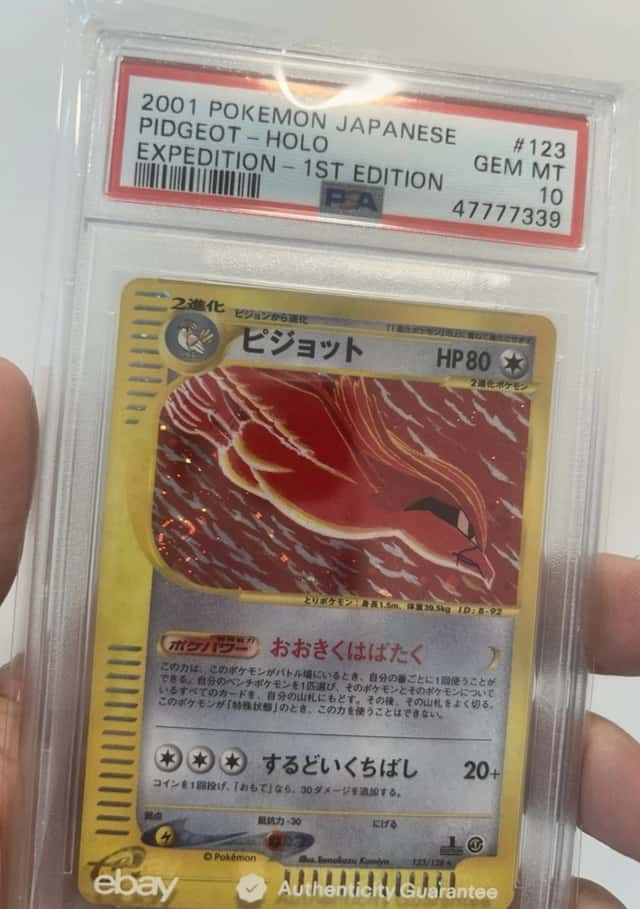 Pidgeot