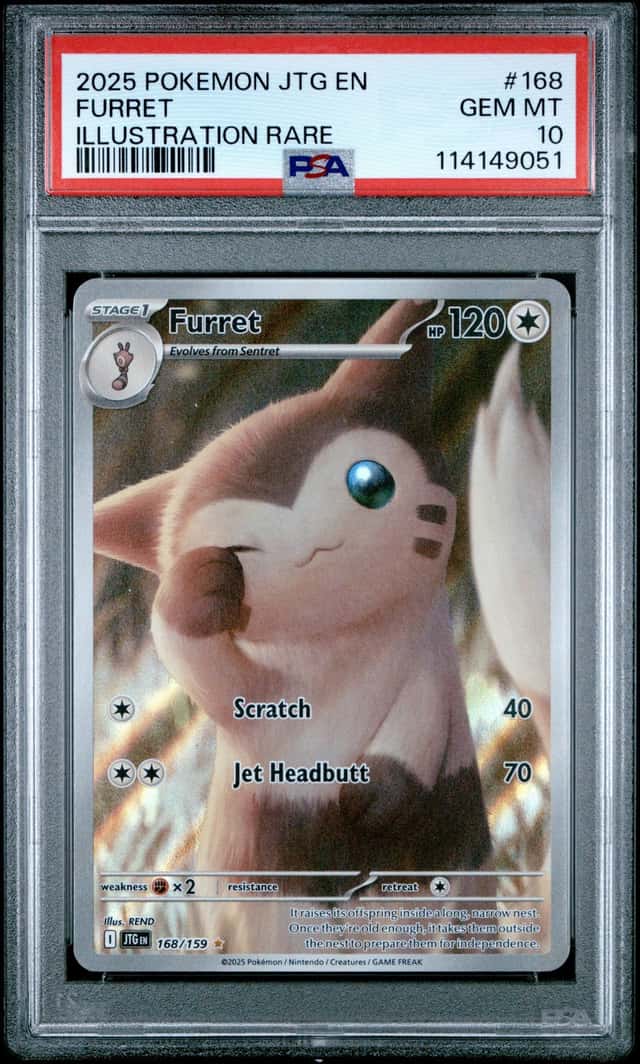 Furret