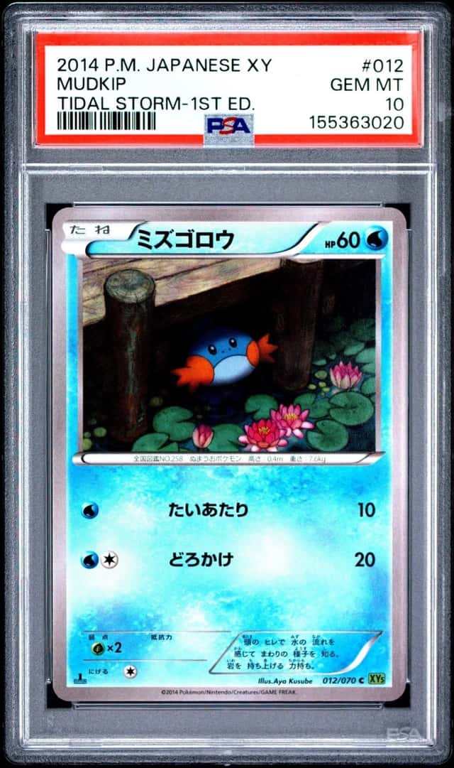 Mudkip