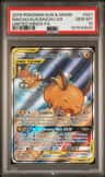 Raichu & Alolan Raichu Gx