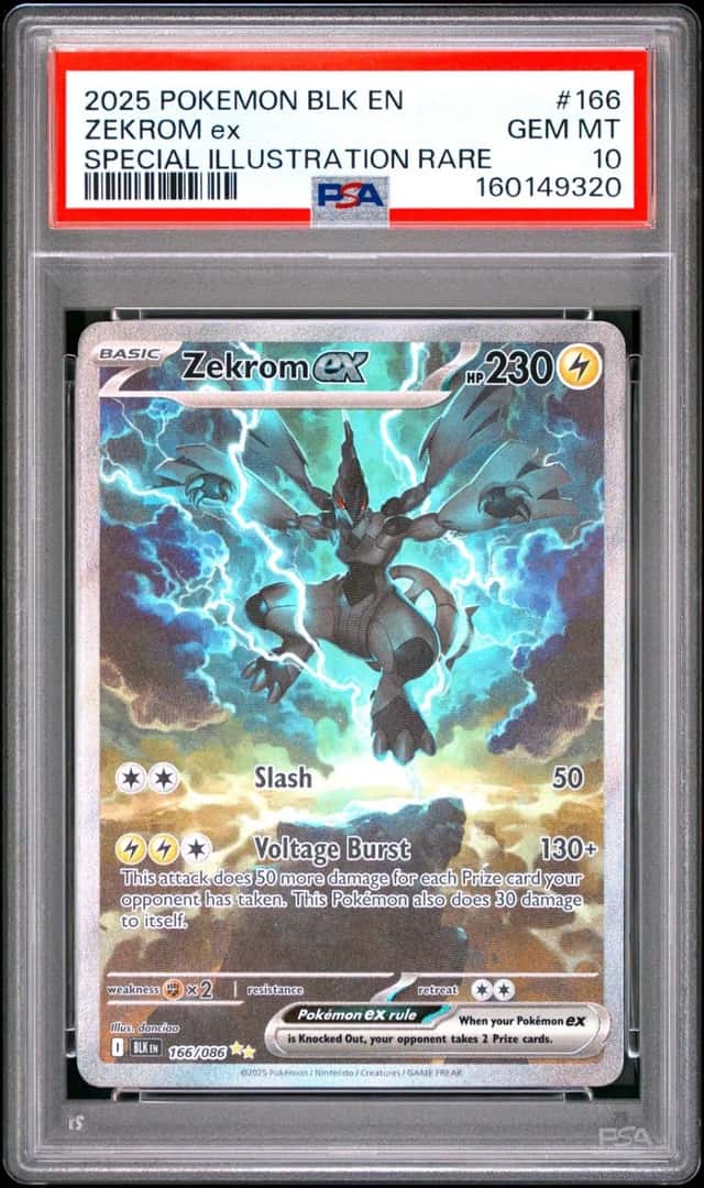 ZEKROM ex