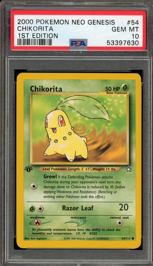 Chikorita
