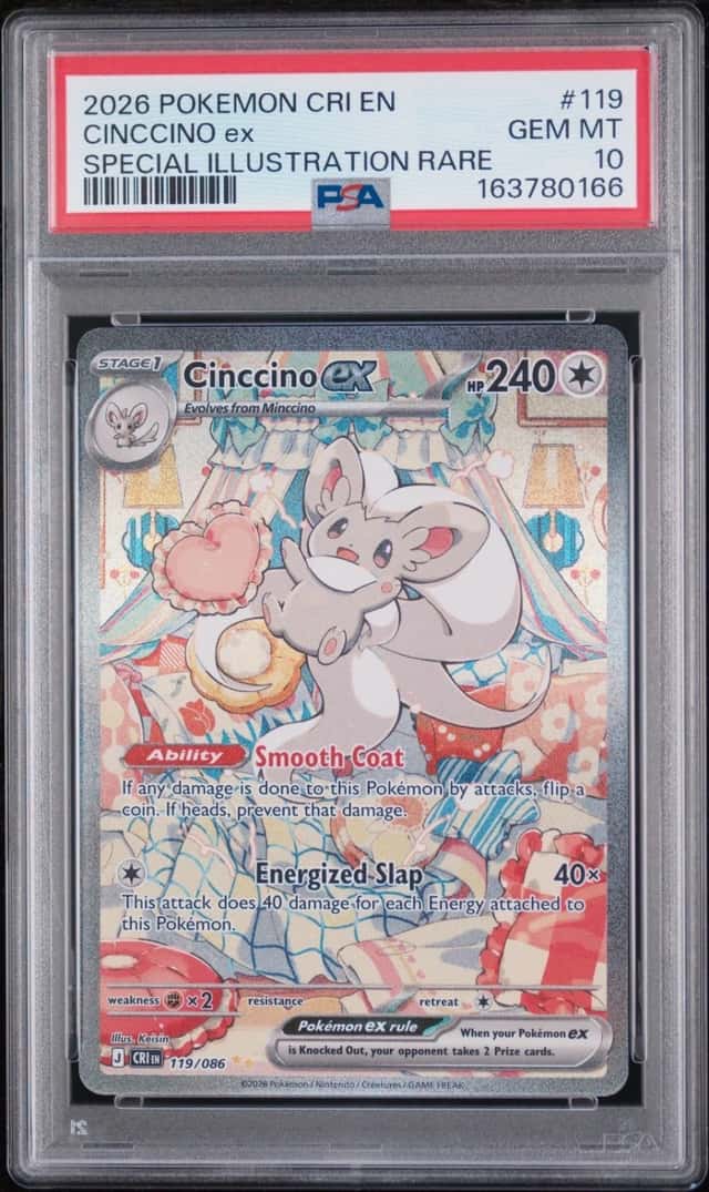 CINCCINO ex