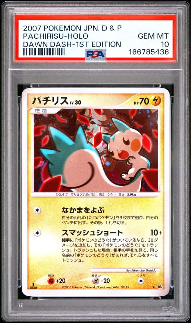 Pachirisu