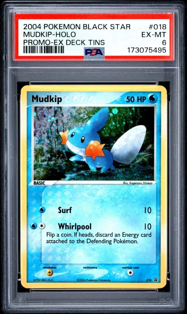 Mudkip