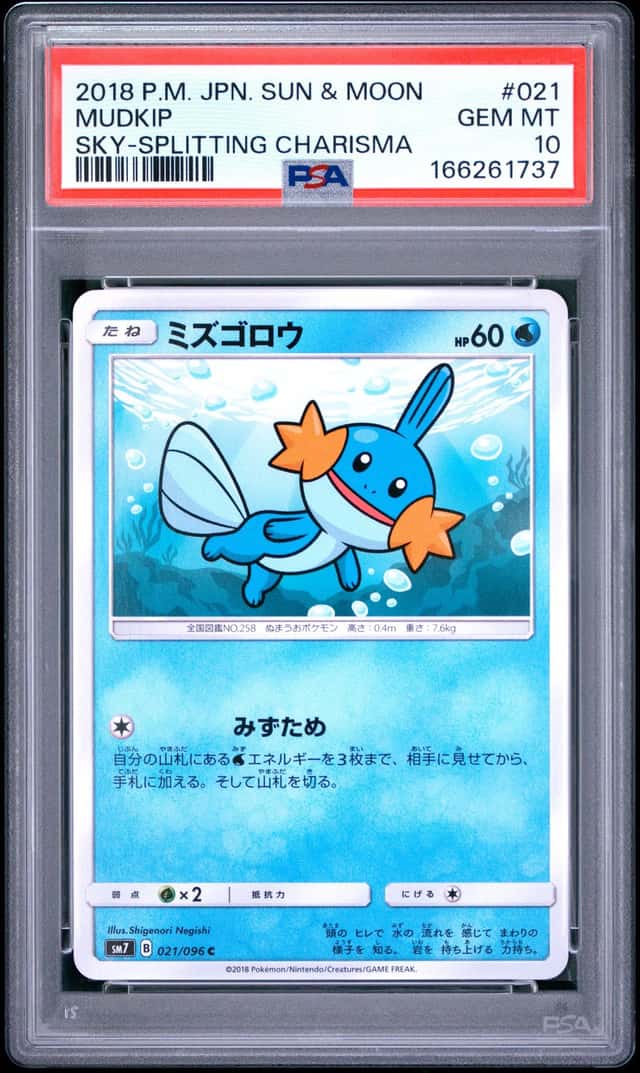 Mudkip