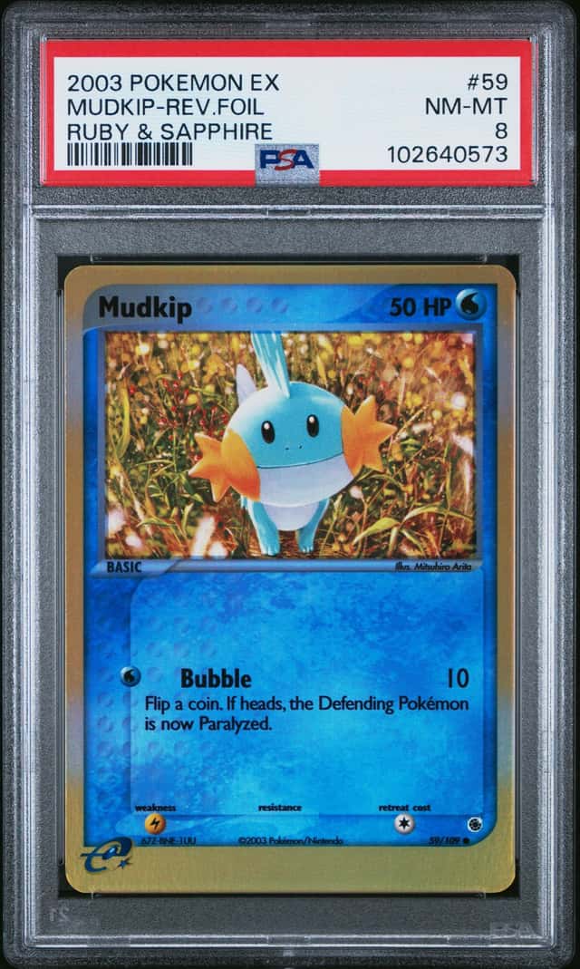 Mudkip