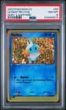 Mudkip