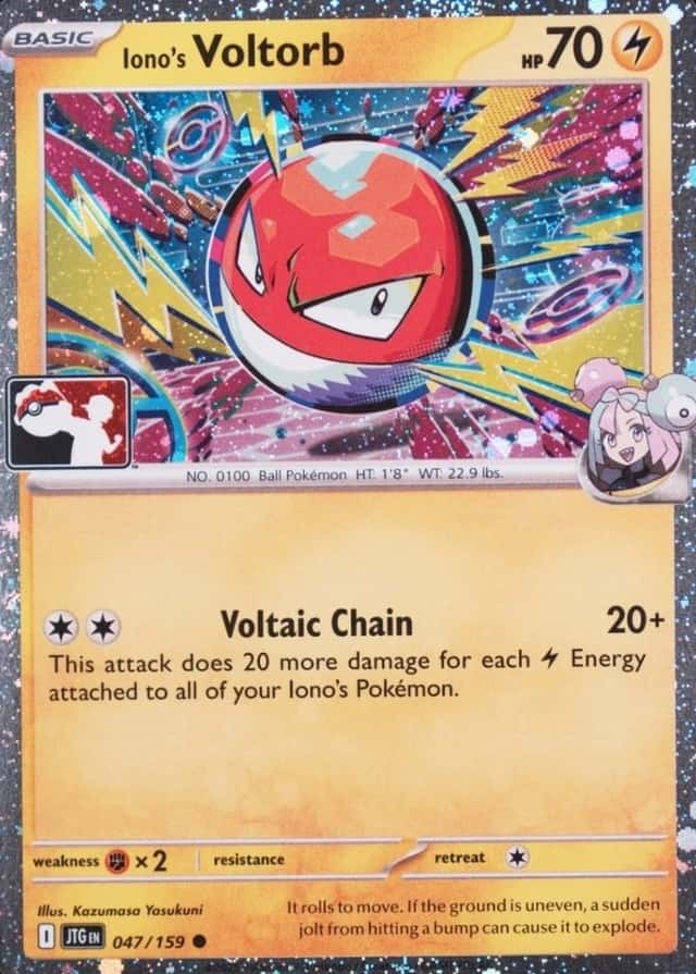 Base / no variant