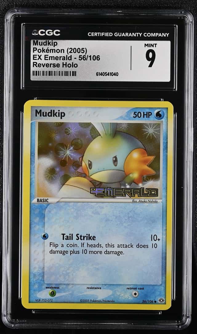 Mudkip