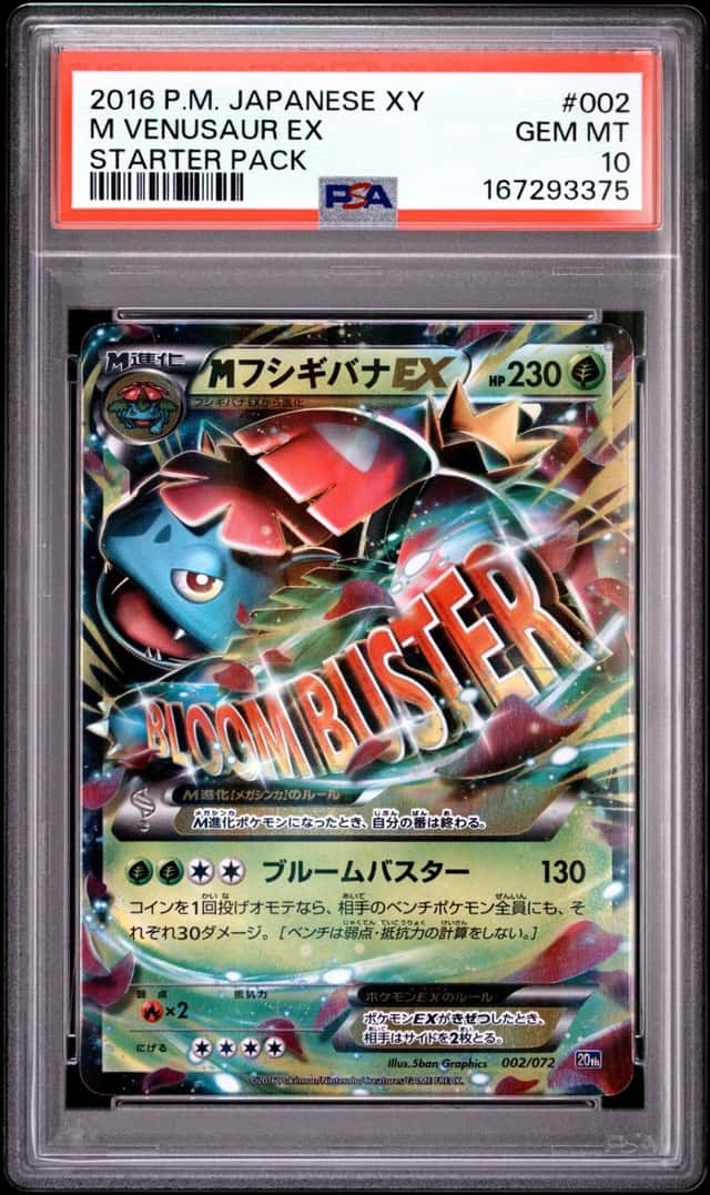 M Venusaur EX