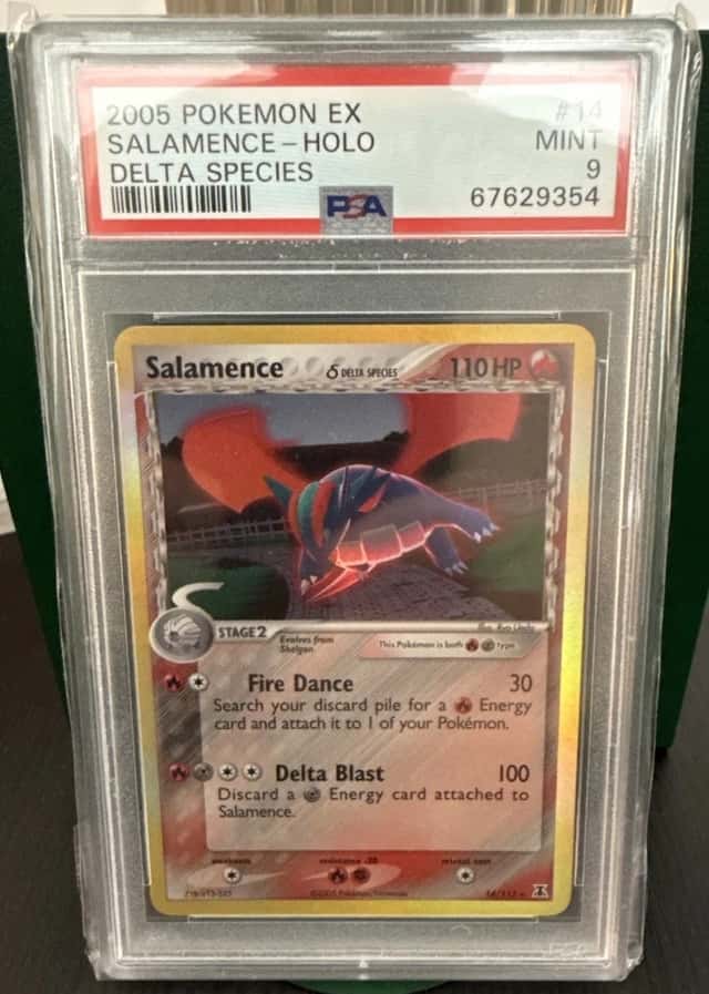 Salamence