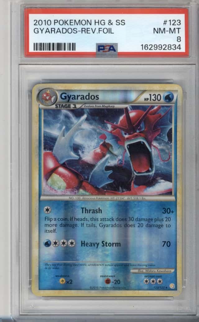 Gyarados