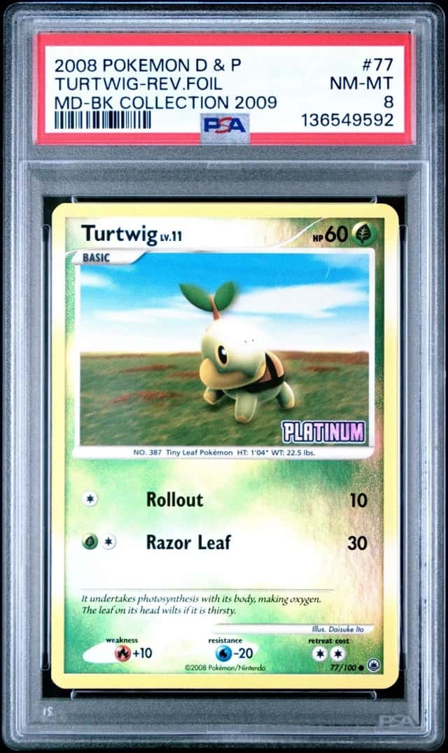Turtwig
