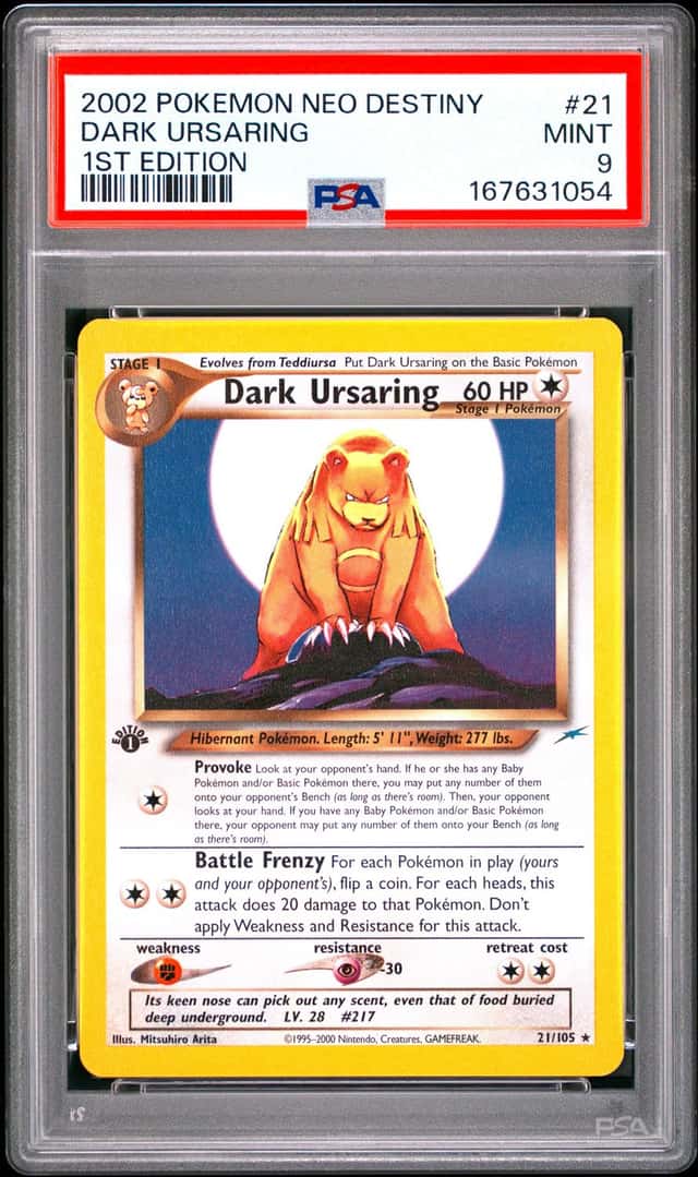 Dark Ursaring