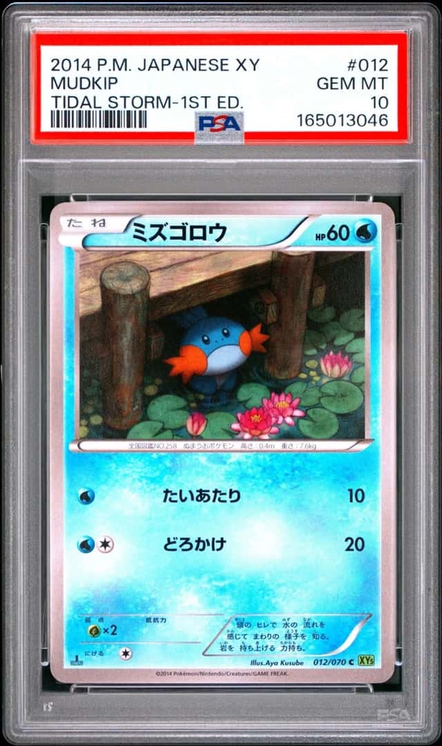 Mudkip