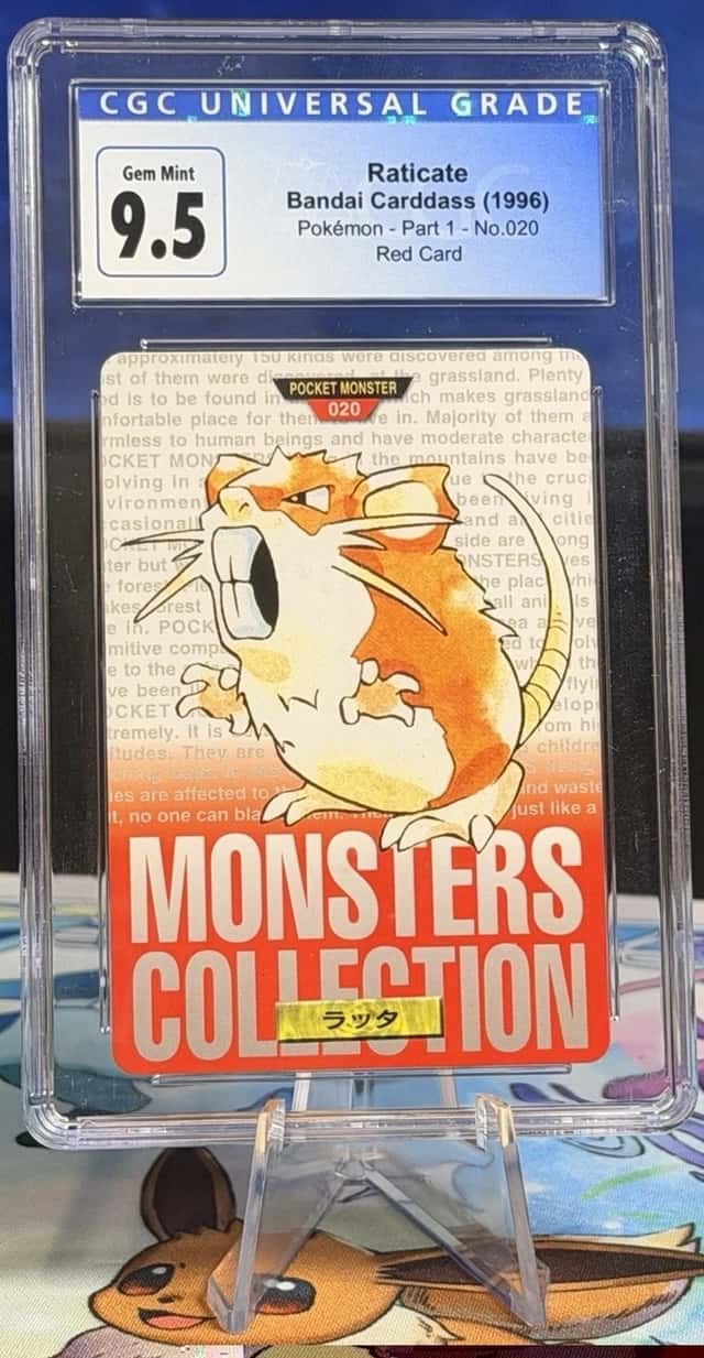 Raticate