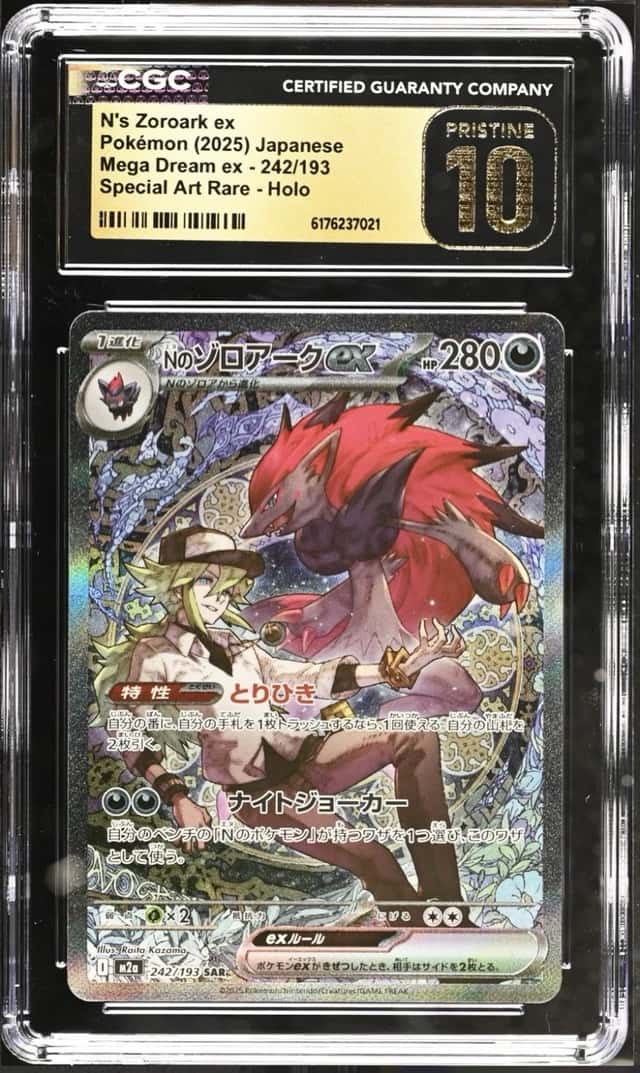 N's Zoroark ex