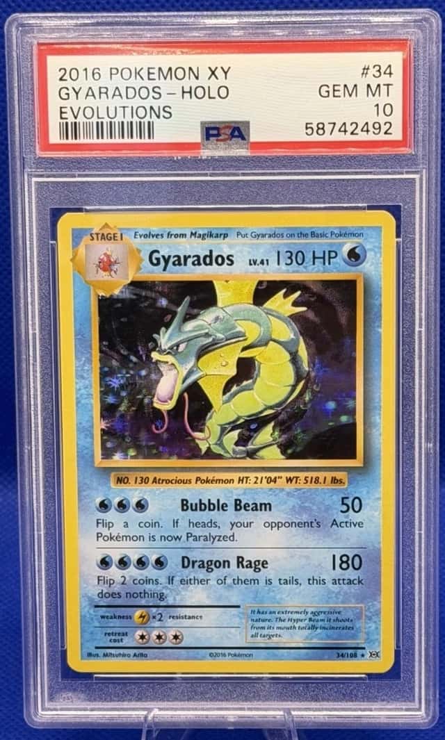 Gyarados
