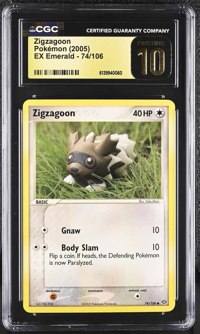 Zigzagoon