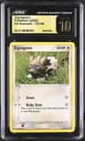 Zigzagoon